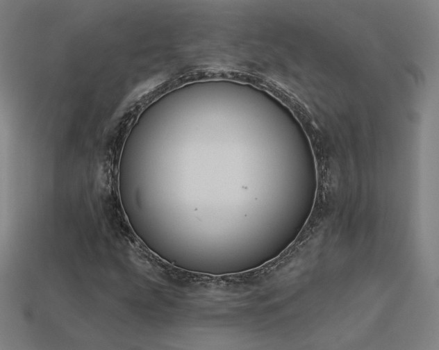 X0000113941207200909251233