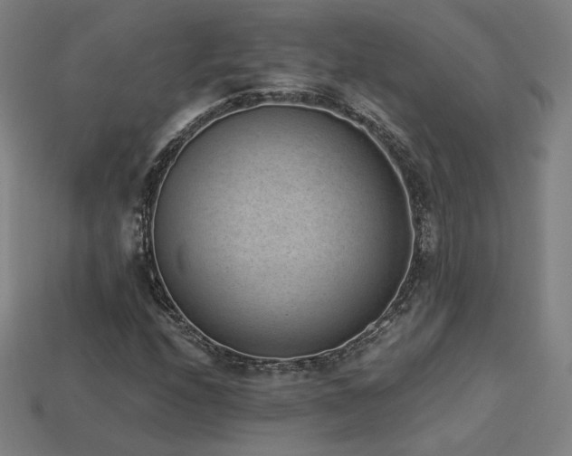 X0000113941208200909251233