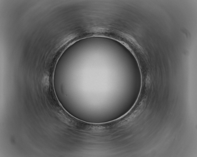 X0000113941209200909251233