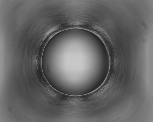 X0000113941210200909251233