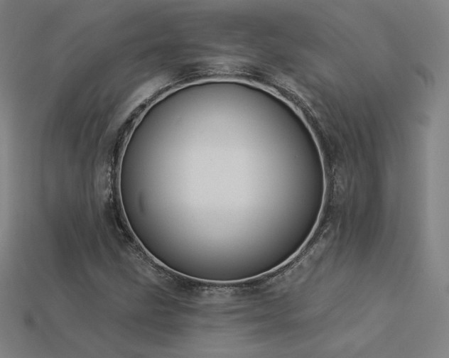 X0000113941211200909251233