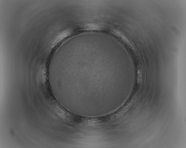 X0000113941213200909251233