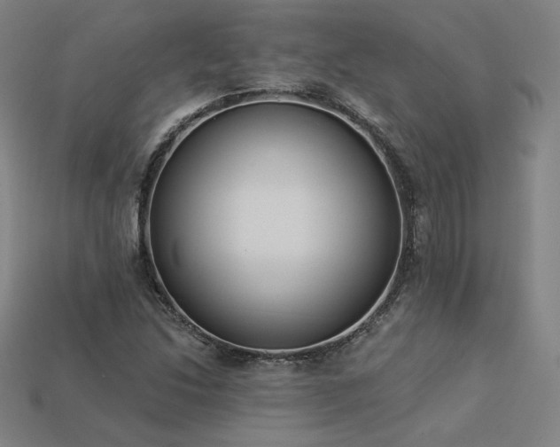X0000113941214200909251233