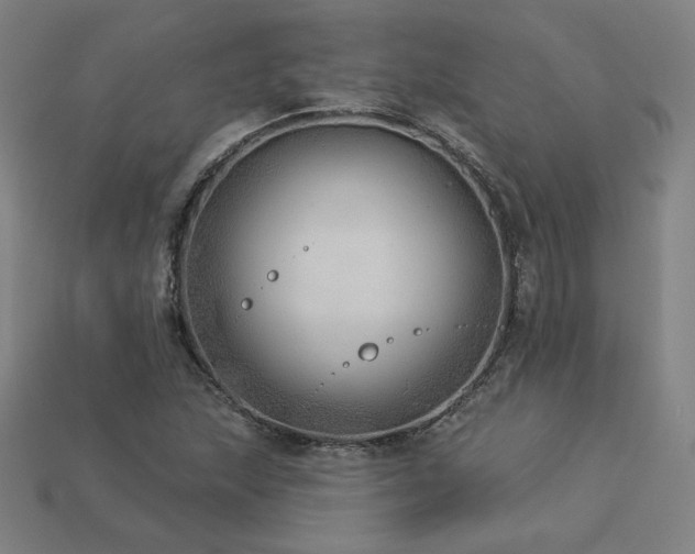 X0000113941215200909251233