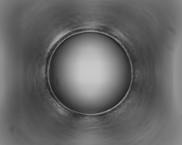 X0000113941216200909251233