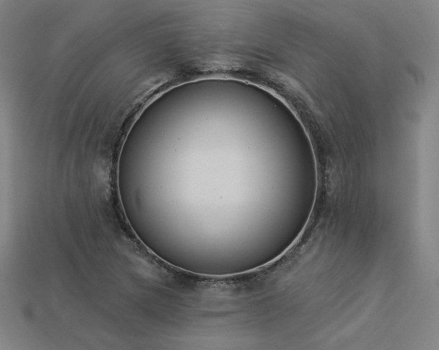 X0000113941217200909251233