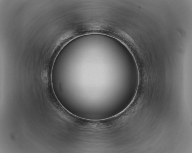 X0000113941218200909251233