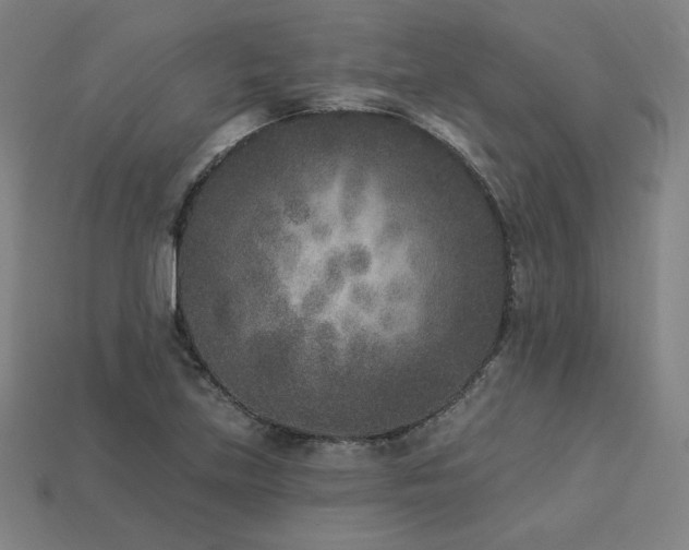 X0000113941219200909251233