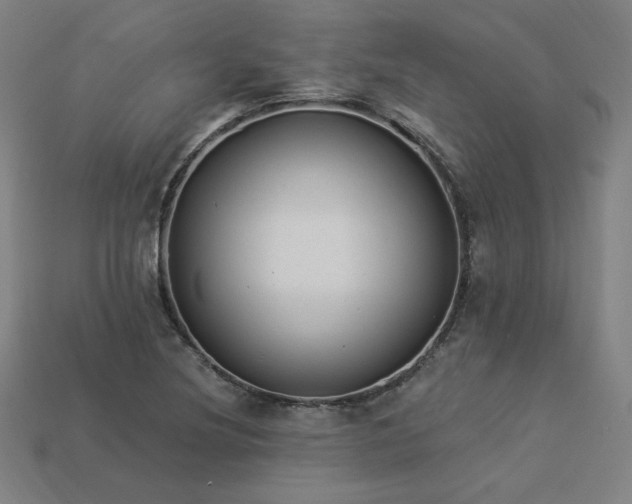 X0000113941220200909251233