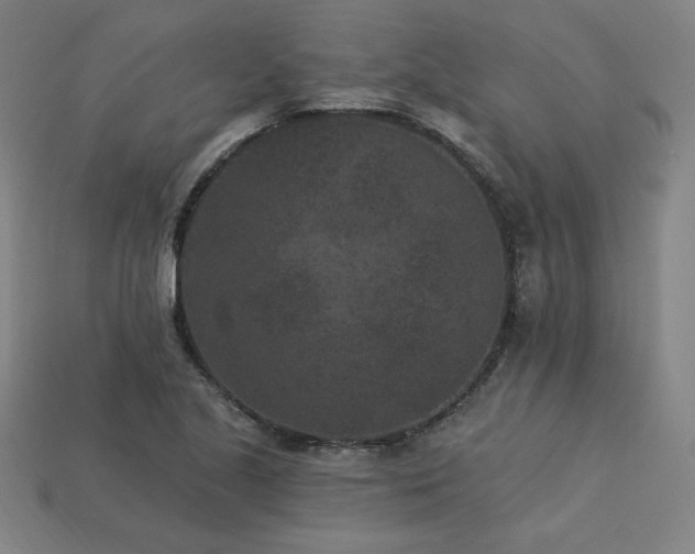 X0000113941221200909251233