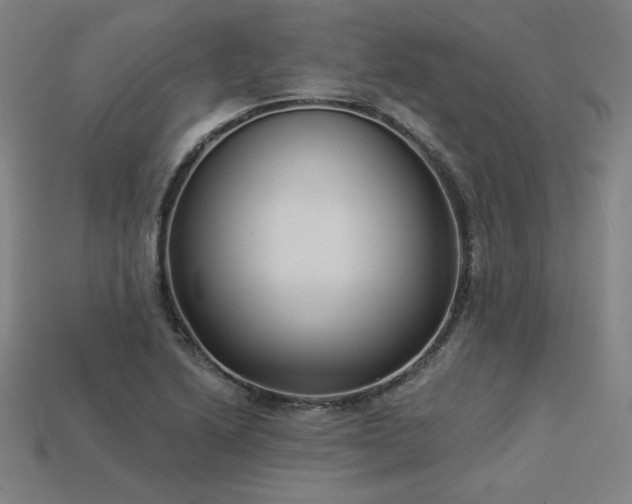 X0000113941222200909251233