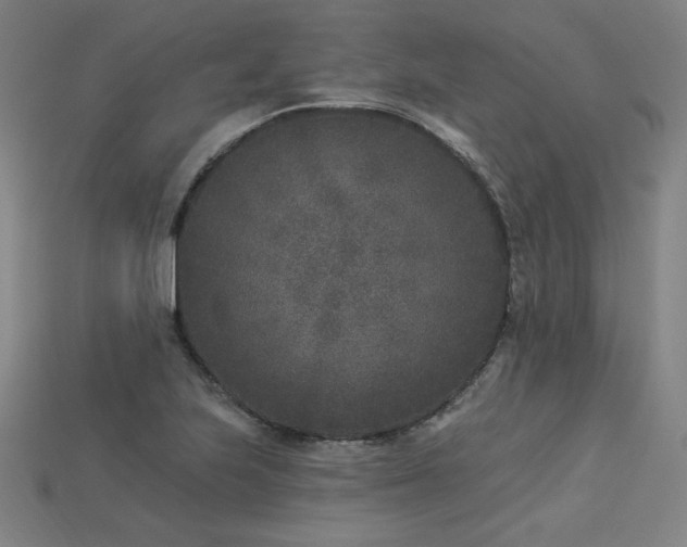 X0000113941223200909251233