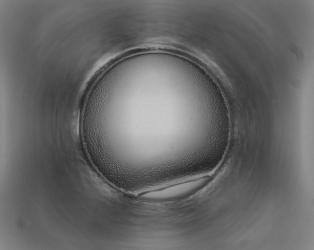 X0000113941224200909251233