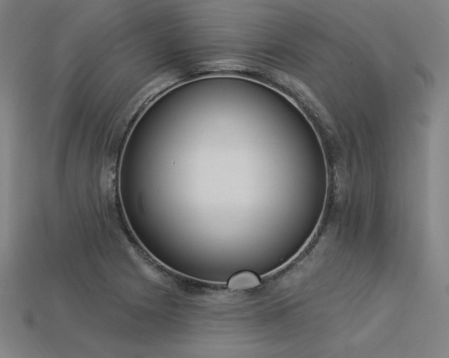 X0000113941225200909251233