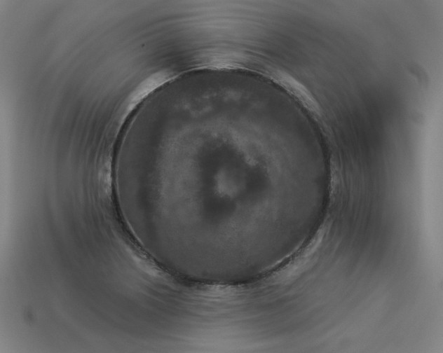 X0000113941226200909251234