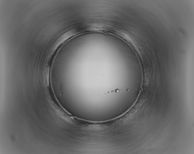 X0000113941227200909251234