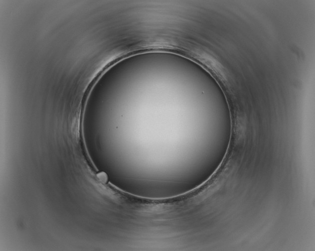 X0000113941228200909251234