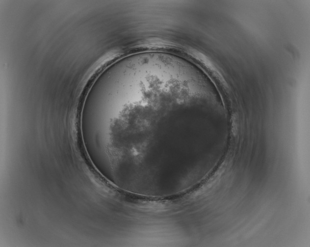 X0000113941229200909251234