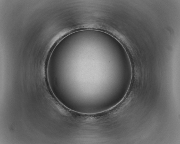 X0000113941230200909251234