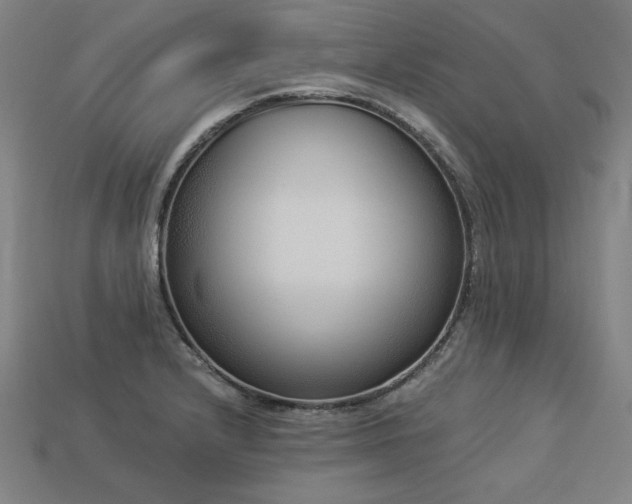 X0000113941232200909251234