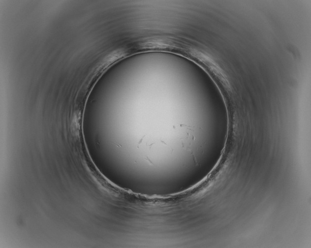 X0000113941233200909251234
