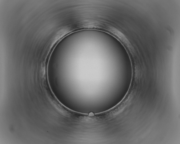 X0000113941234200909251234