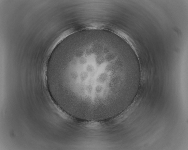 X0000113941235200909251234