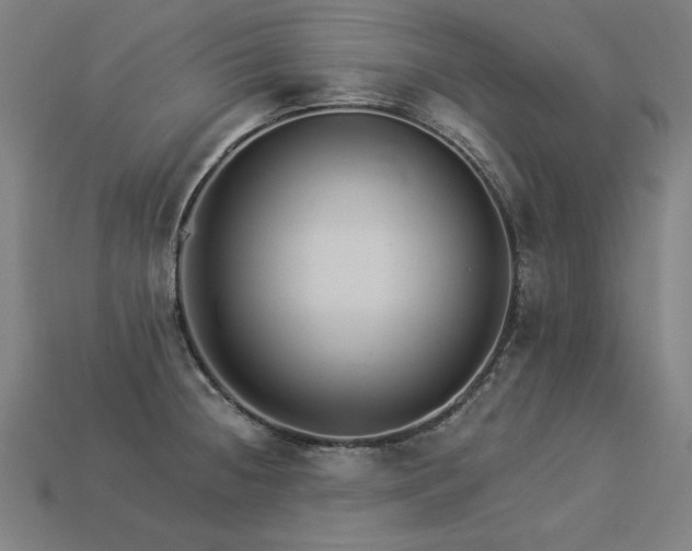 X0000113941236200909251234
