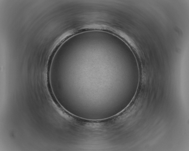 X0000113941237200909251234