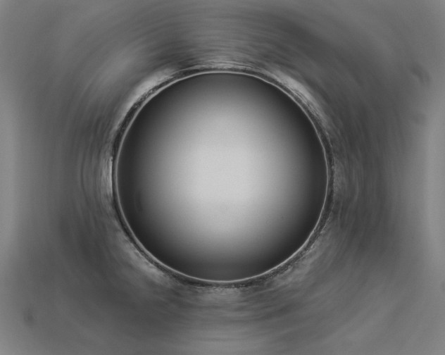 X0000113941238200909251234