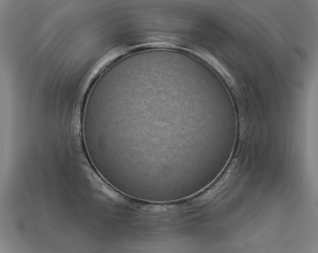 X0000113941240200909251234