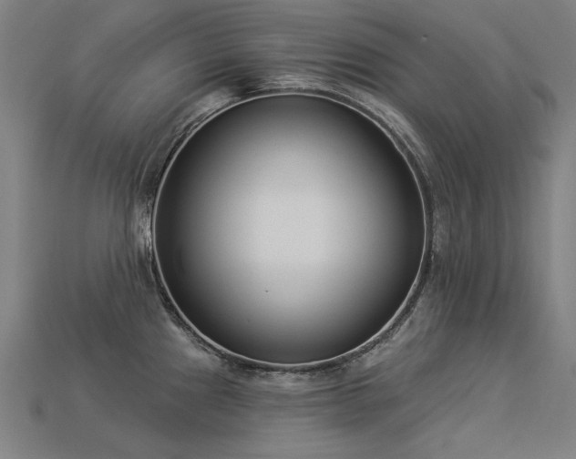 X0000113941241200909251234