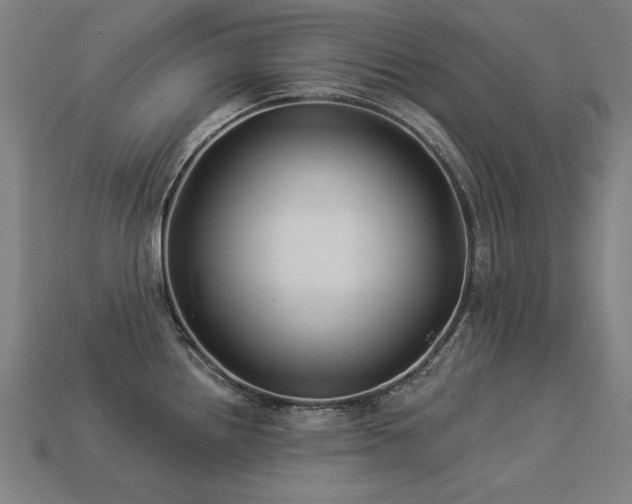 X0000113941242200909251234