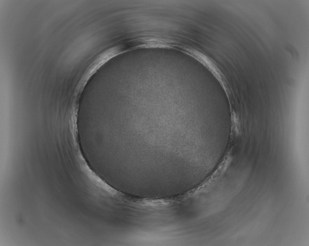 X0000113941243200909251234