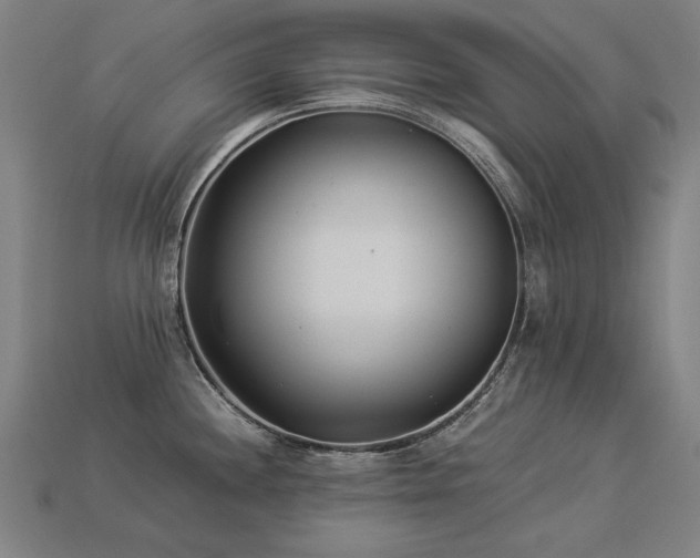 X0000113941244200909251234