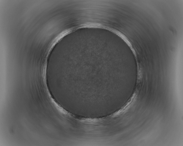 X0000113941245200909251234