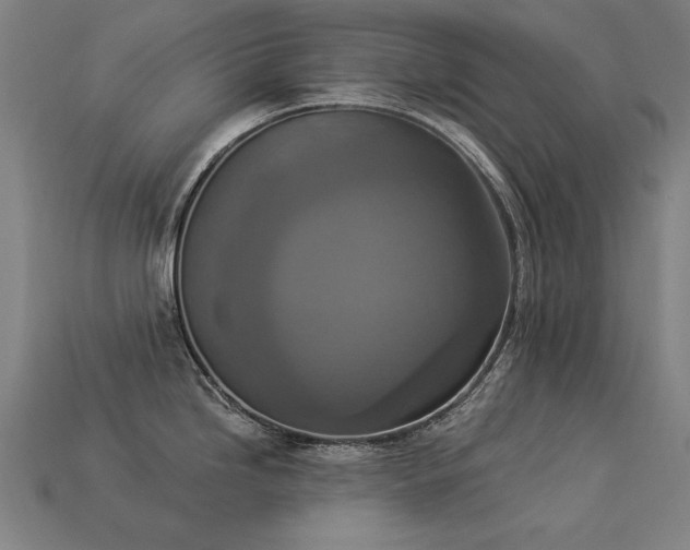 X0000113941246200909251234
