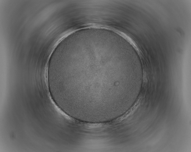 X0000113941247200909251234
