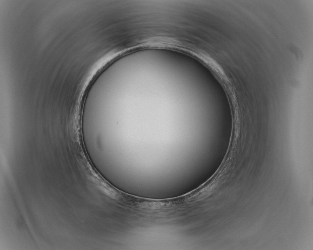 X0000113941248200909251234