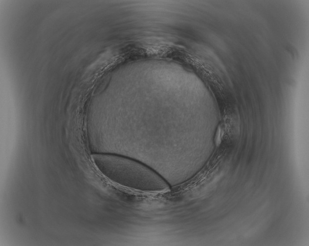 X0000113941249200909251233
