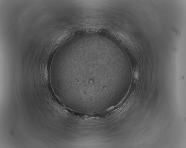 X0000113941252200909251233