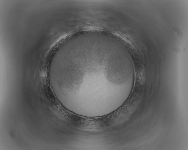 X0000113941254200909251233