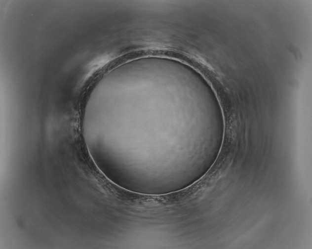 X0000113941255200909251233