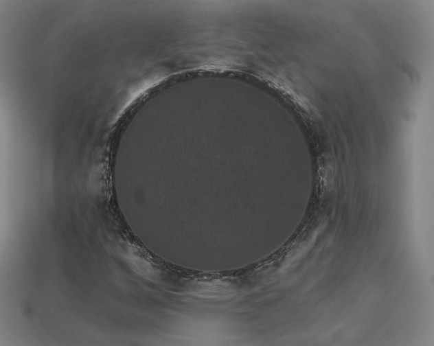 X0000113941256200909251233