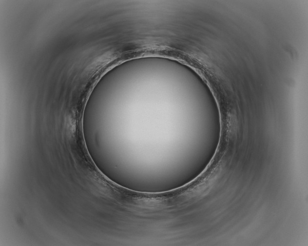 X0000113941257200909251233