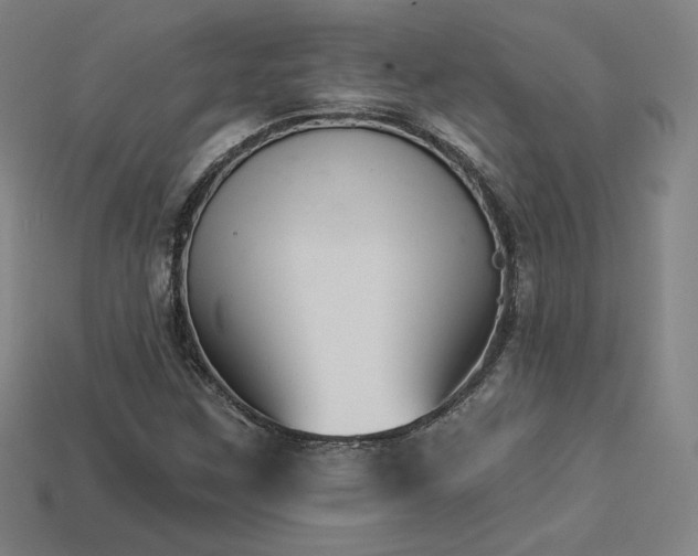 X0000113941259200909251233