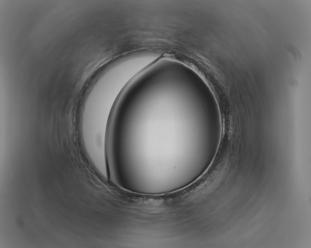 X0000113941261200909251233