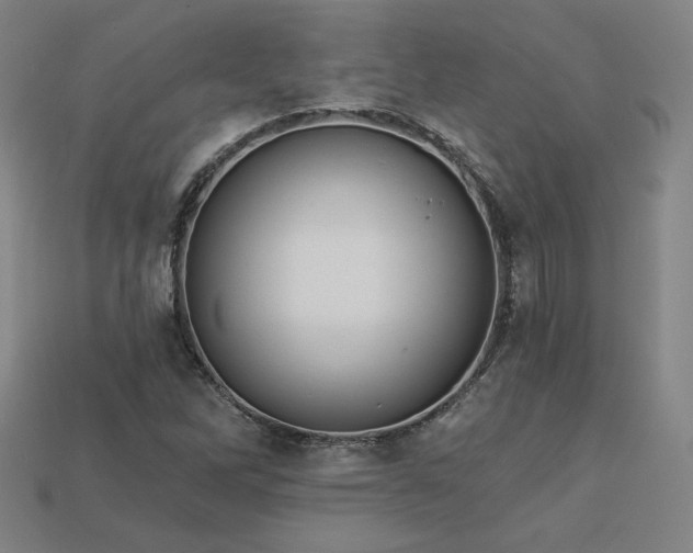 X0000113941262200909251233
