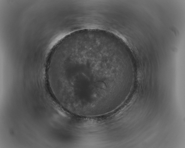 X0000113941263200909251233
