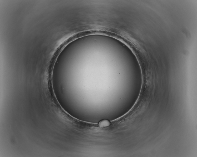 X0000113941264200909251233